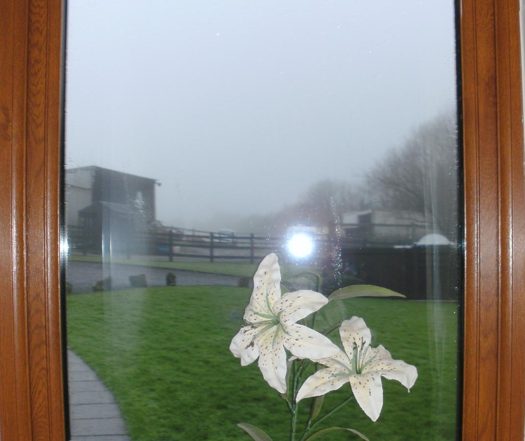 Beudy Bach Cross Hands Exterior foto